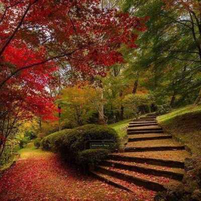 Breenhold Gardens, Mount Wilson, Blue Mountains, NSW Australia